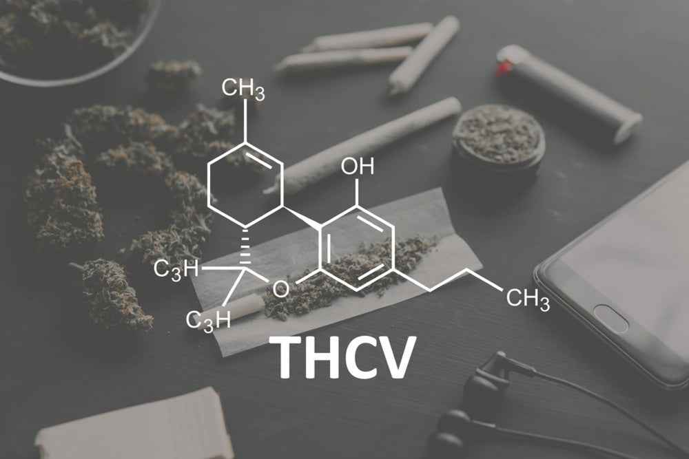 THCV potential human benefits including appetite suppression, metabolic support, neuroprotection, and clear-headed energy.Golden Gardens