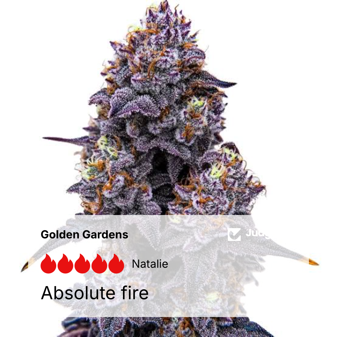 Buy THCa Flower Online: What to Know Before You Order
