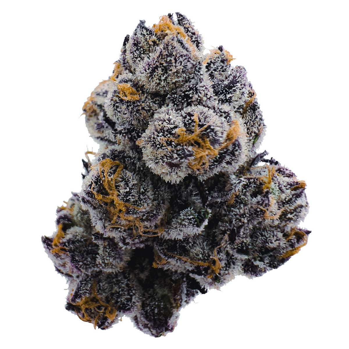 Strongest THCA Flower for Sale: Potency Testing Explained