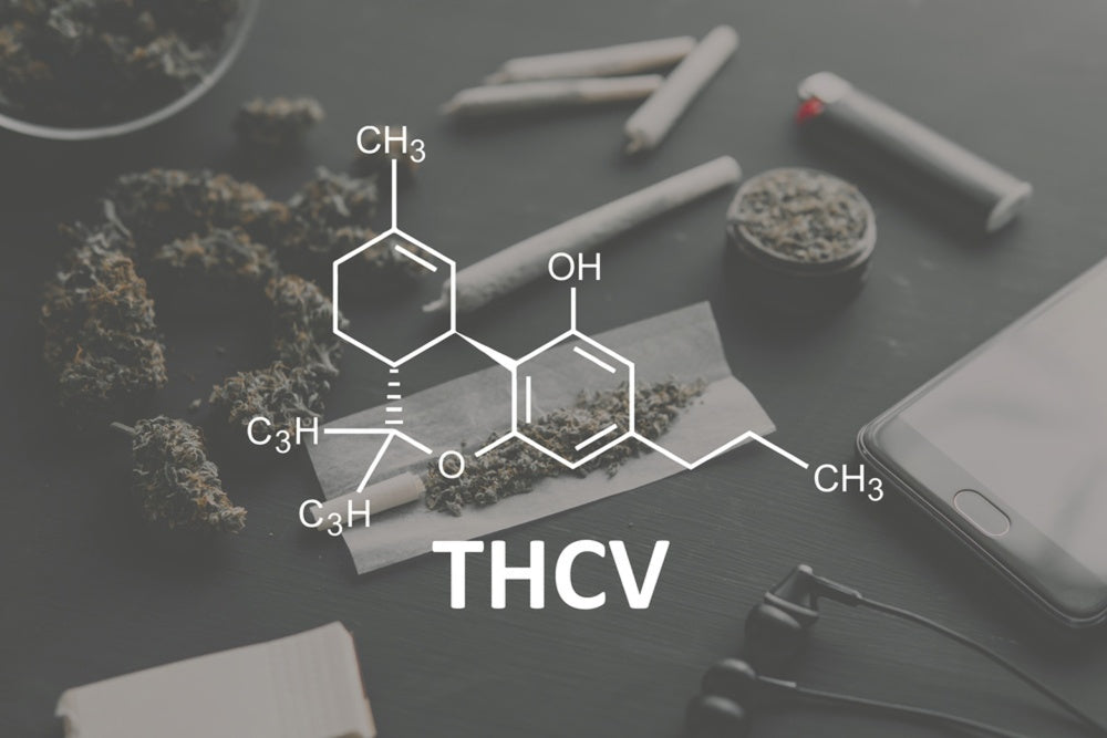 Cannabinoid THCv weight loss, metabolism and cholesterol study