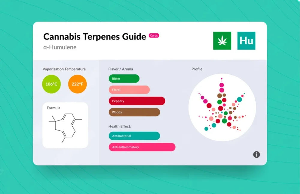 Terpene Humulene- Reduce Stress, Appetite, Inflammation