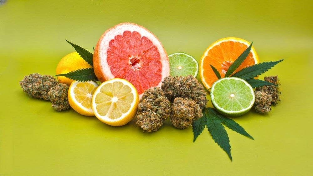 Terpene Chart: The Aromas, Effects, & Benefits of Cannabis Terpenes