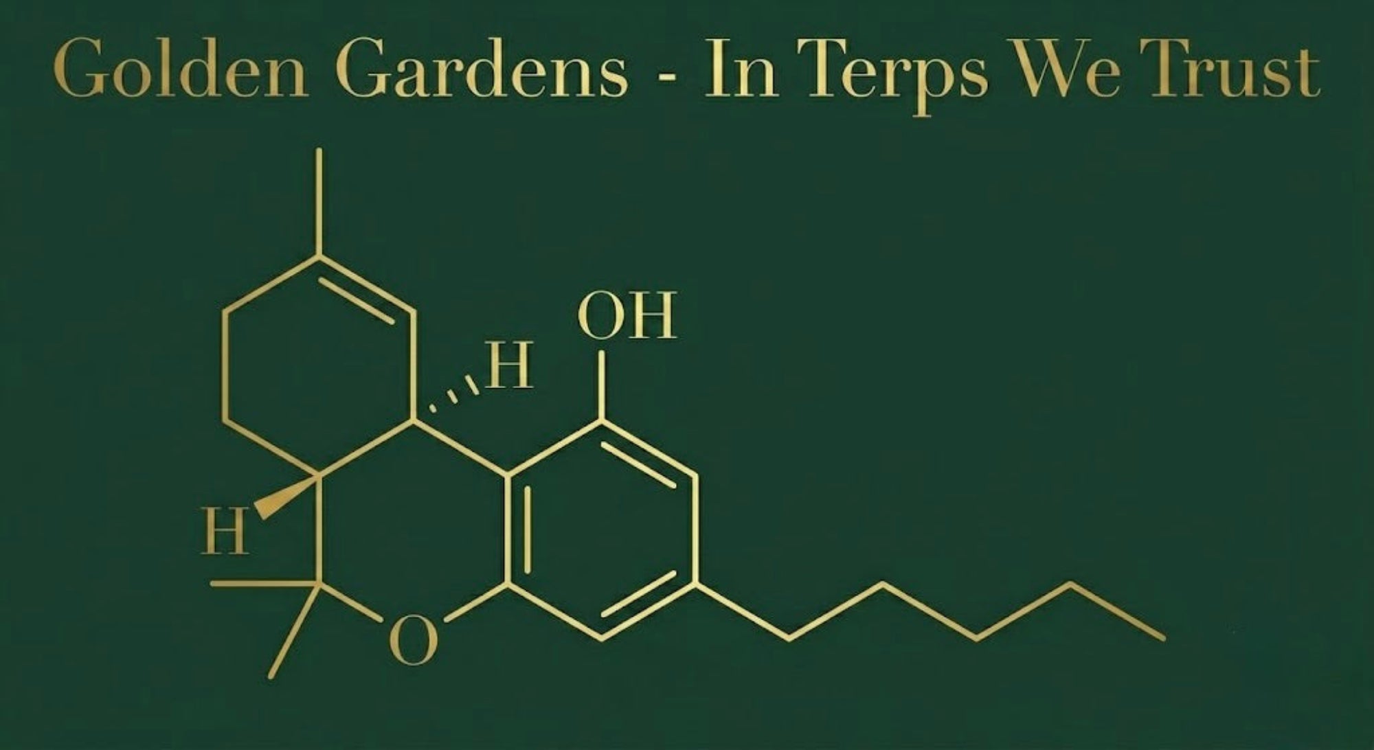  "In Terps We Trust" 