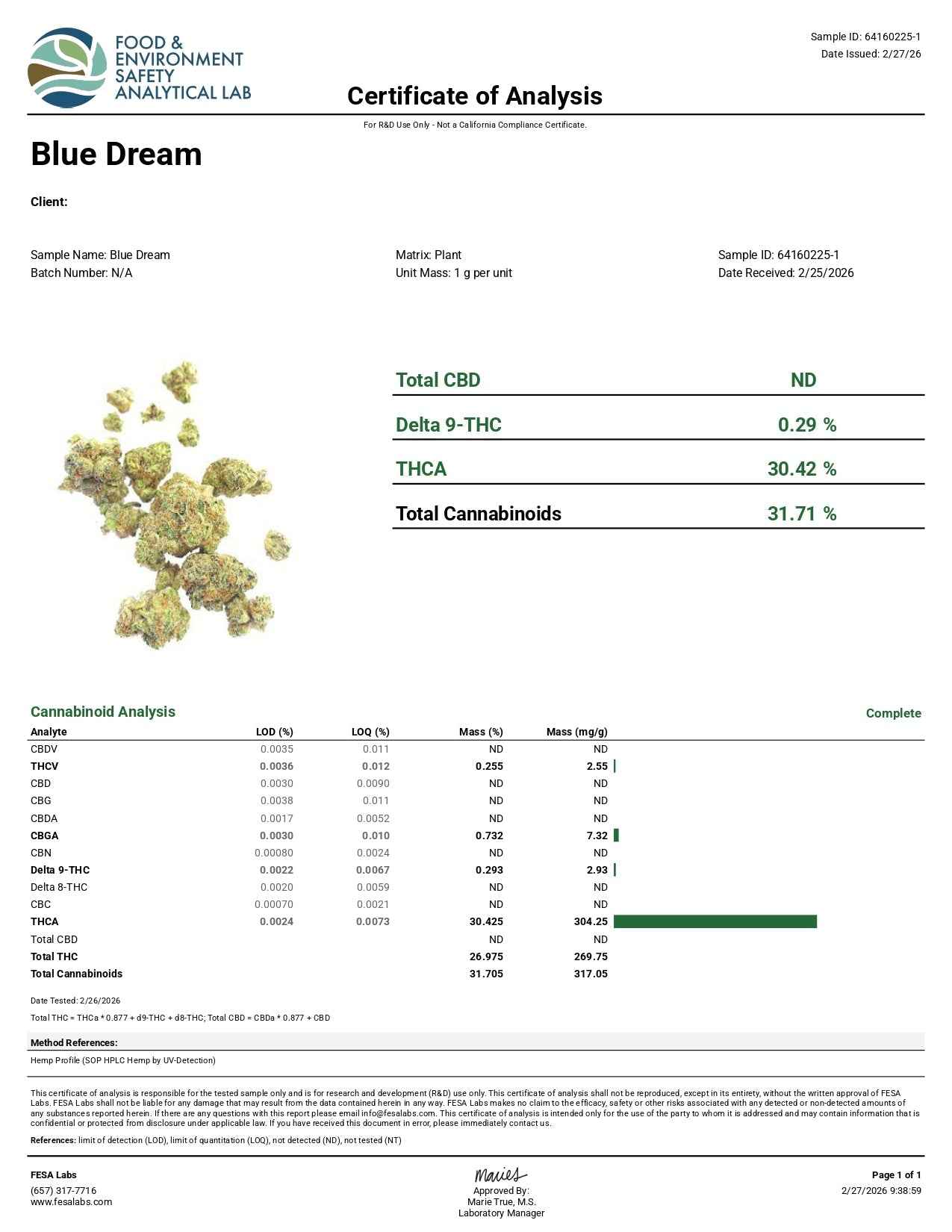 Blue Dream THCa Flower | Premium Sativa-Dominant Flower | Golden Gardens