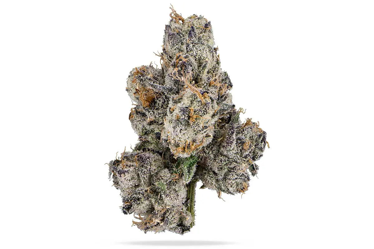 Bubblegum Gelato Premium THCa Flower