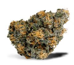 Blue Dream Premium THCa Flower