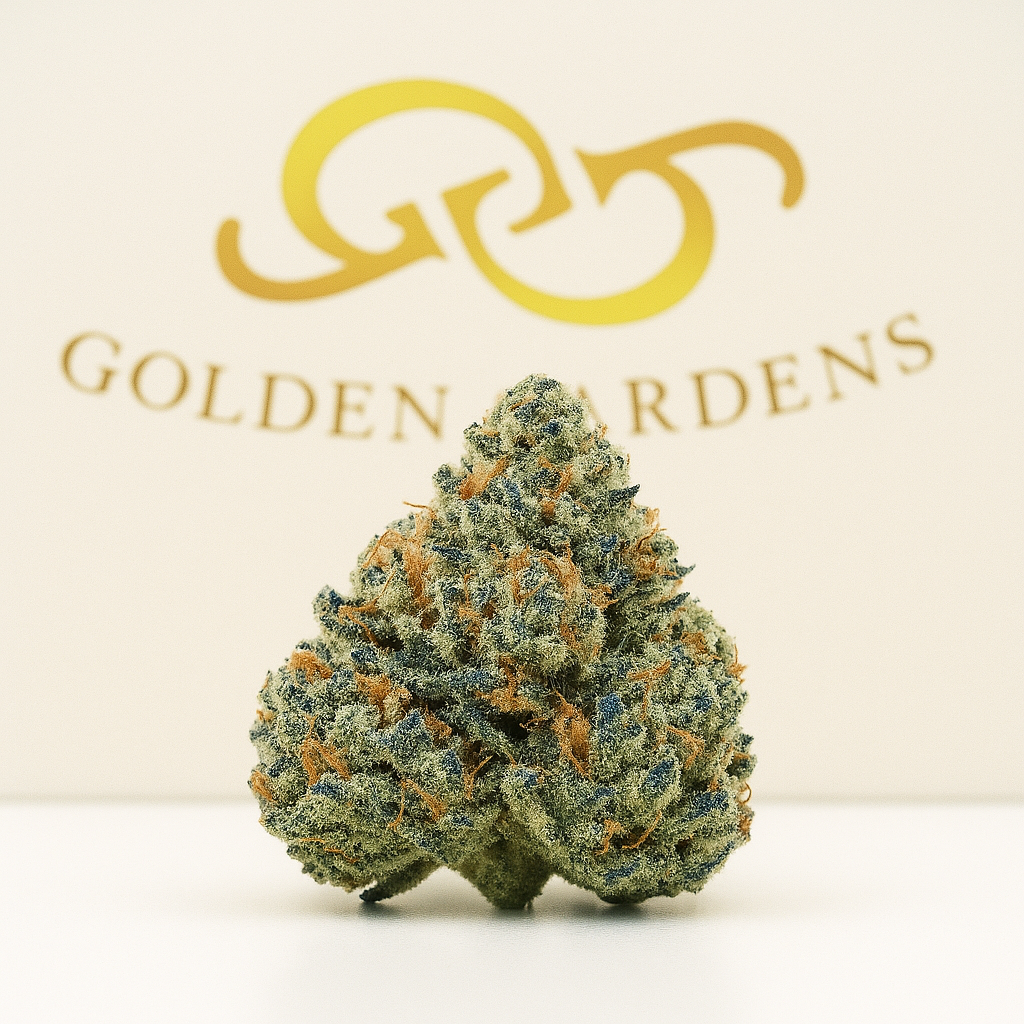 Blue Dream cannabis bud with 'Golden Gardens' logo in the background