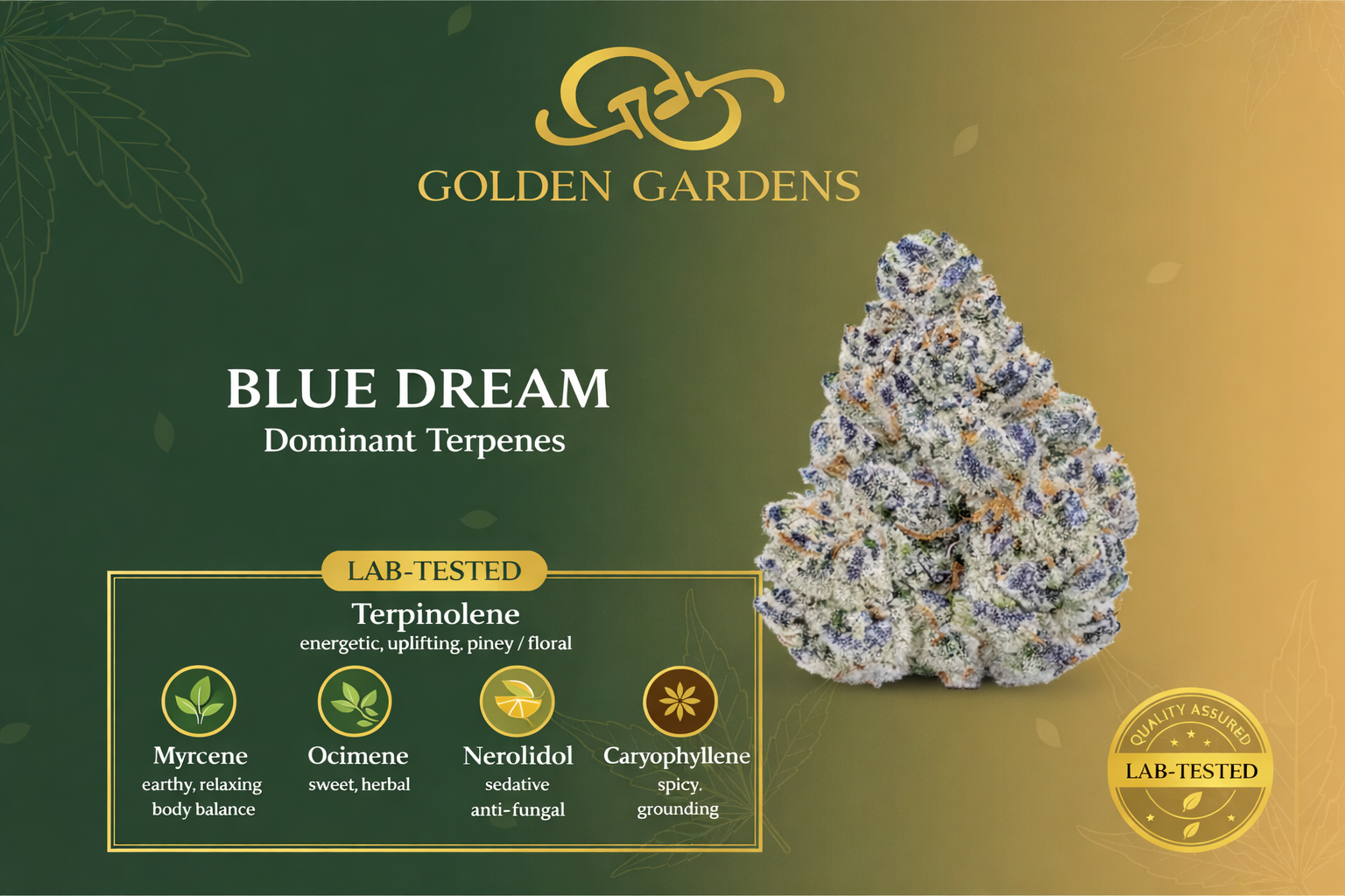 Terpene Chart for Blue Dream from Golden Gardens
