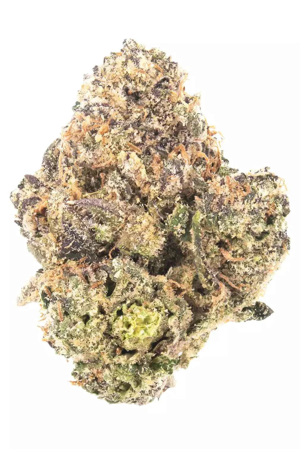 Bubblegum Gelato THCa Flower | Premium Hybrid Hemp Flower | Golden Gardens