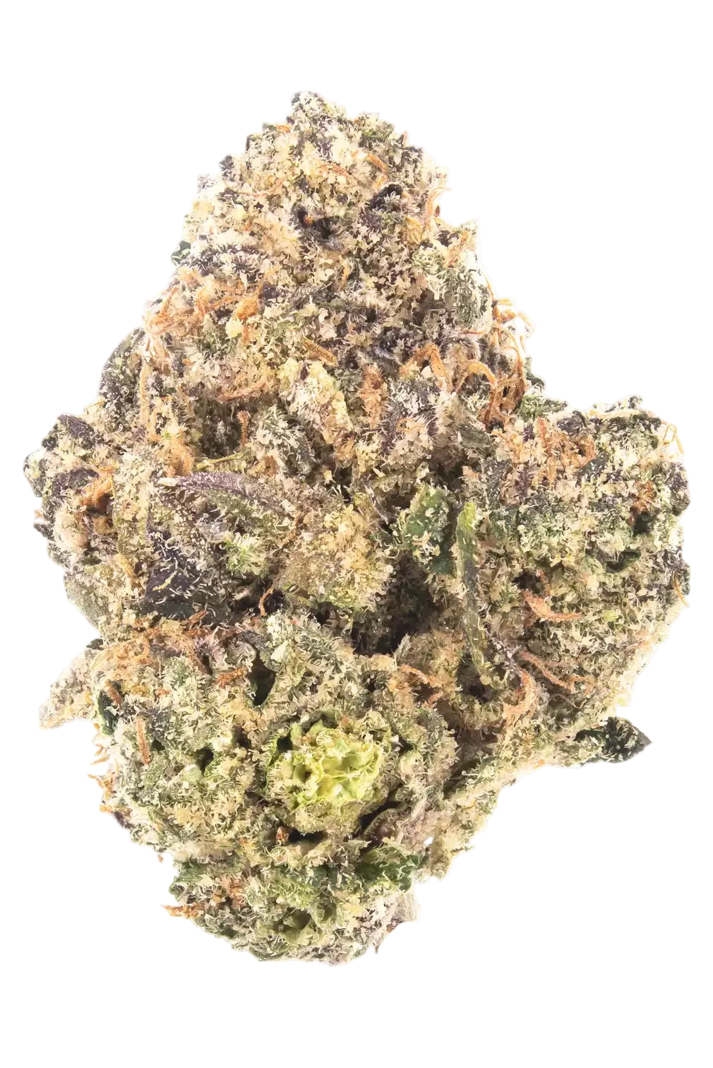 Close-up of a Bubblegum Gelato bud on a white background
