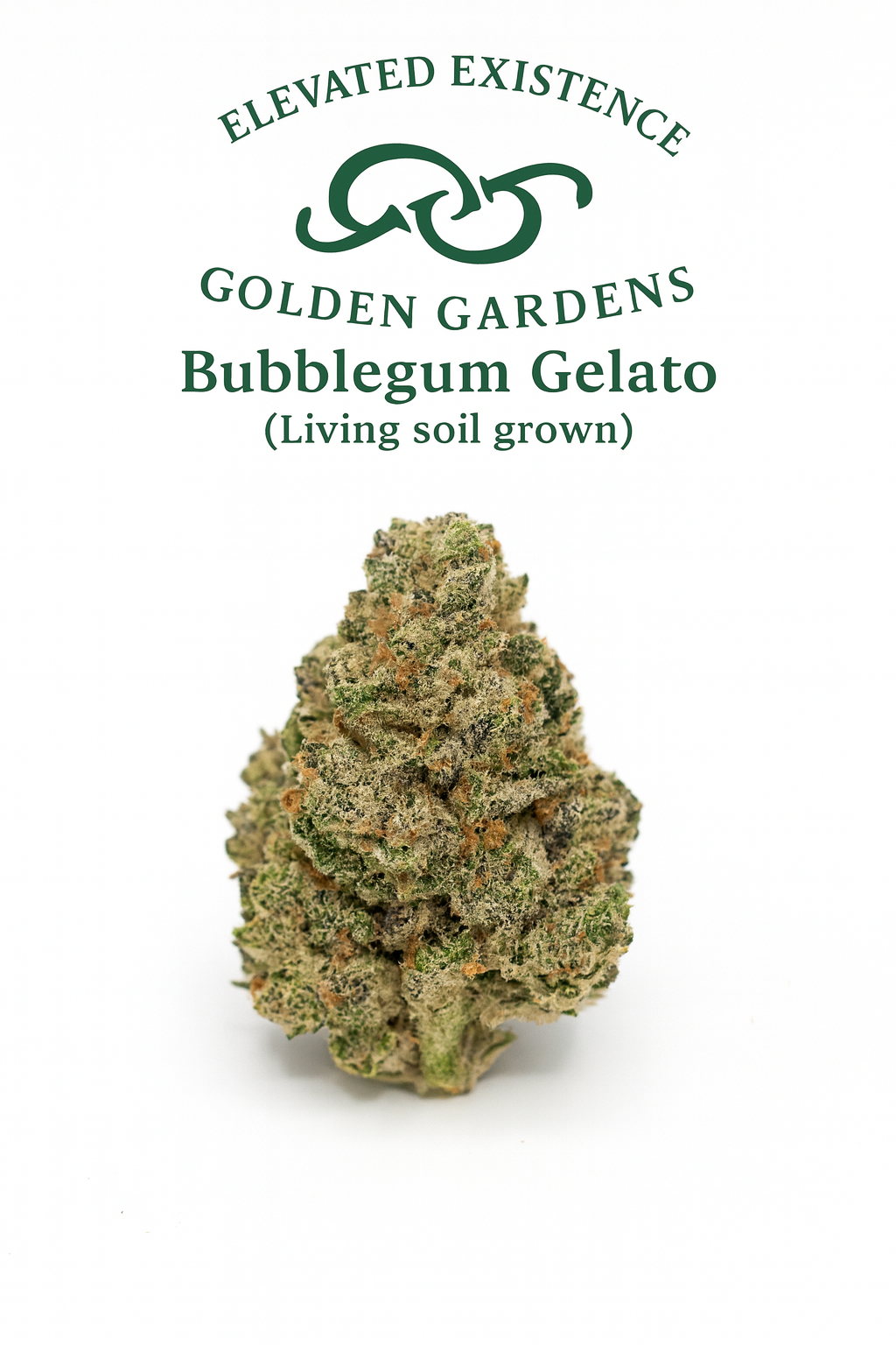 Bubblegum Gelato Premium THCa Flower