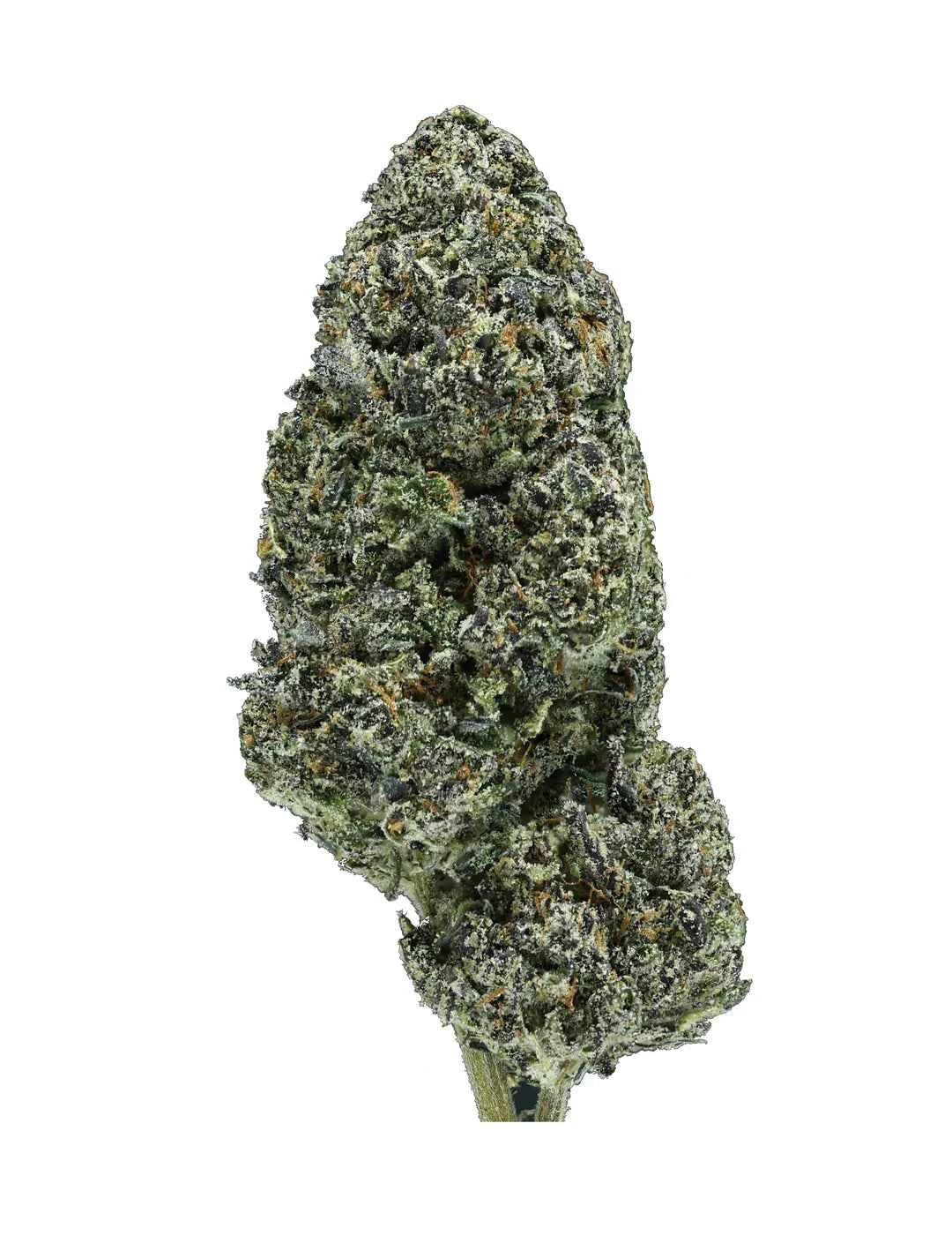 Bubblegum Gelato THCa Flower | Premium Hybrid Hemp Flower | Golden Gardens