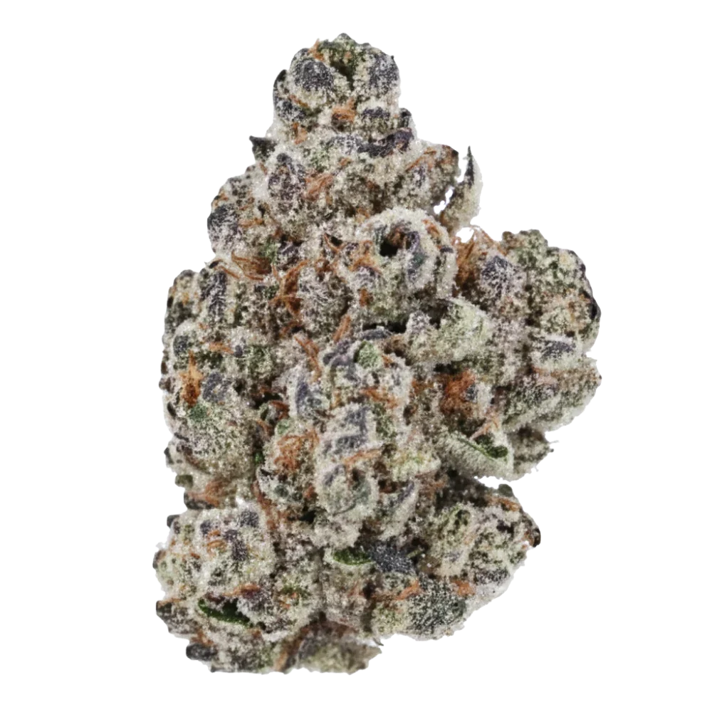 Frosty purple and green cannabis bud with orange hairs, Cotton Candy Gelato strain