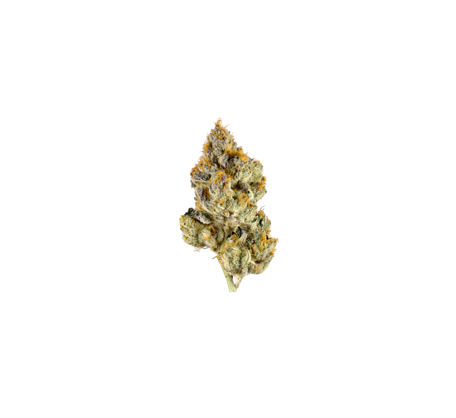 Cotton Csndy cannabis buds