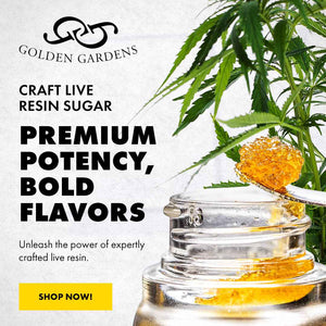 Sour Diesel Live Resin Sugar, High terpene Sativa THCa