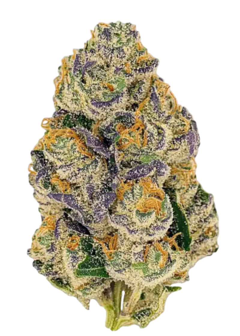 Premium Gumbo cannabis flower alternate image