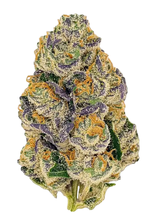 Premium Gumbo cannabis flower package front image