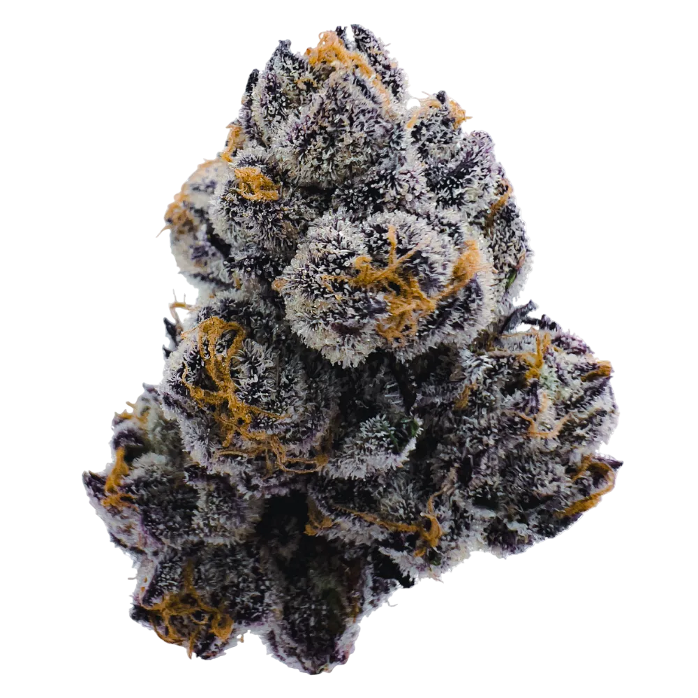 Frosted lemon cherry gelato THCa flower cluster on a white background