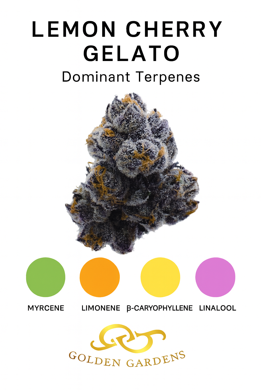 Lemon cherry gelato cannabis with terpenes from Golden Gardens 