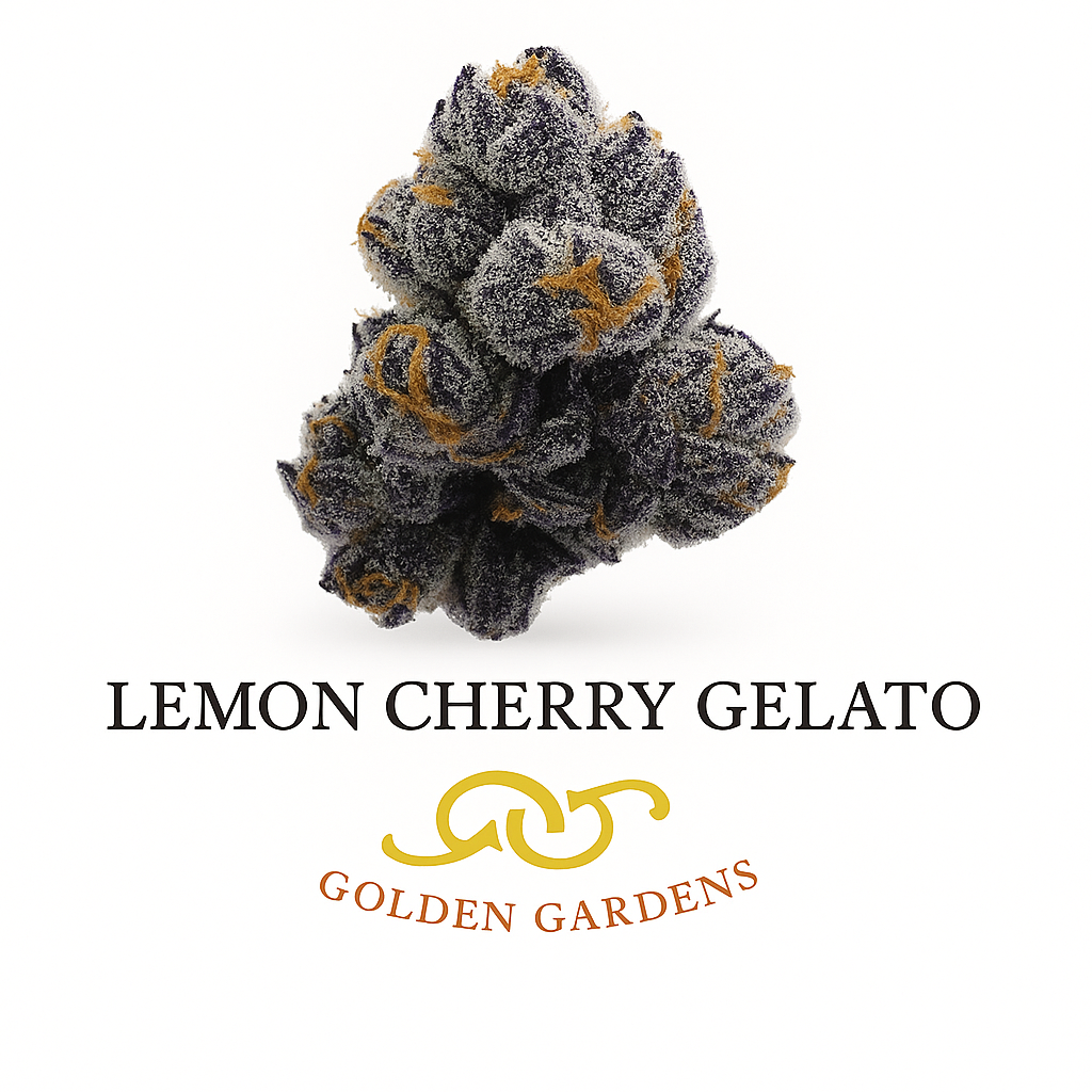 Lemon Cherry Gelato THCa Flower Indica