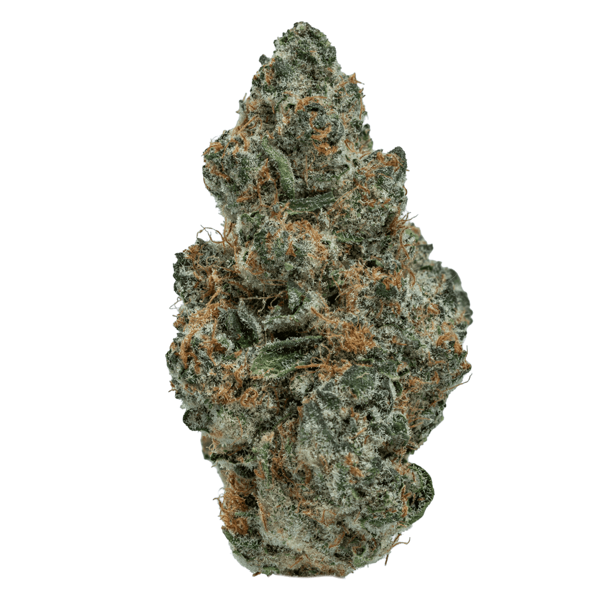 Super boof cannabis bud covered in white trichome crystals