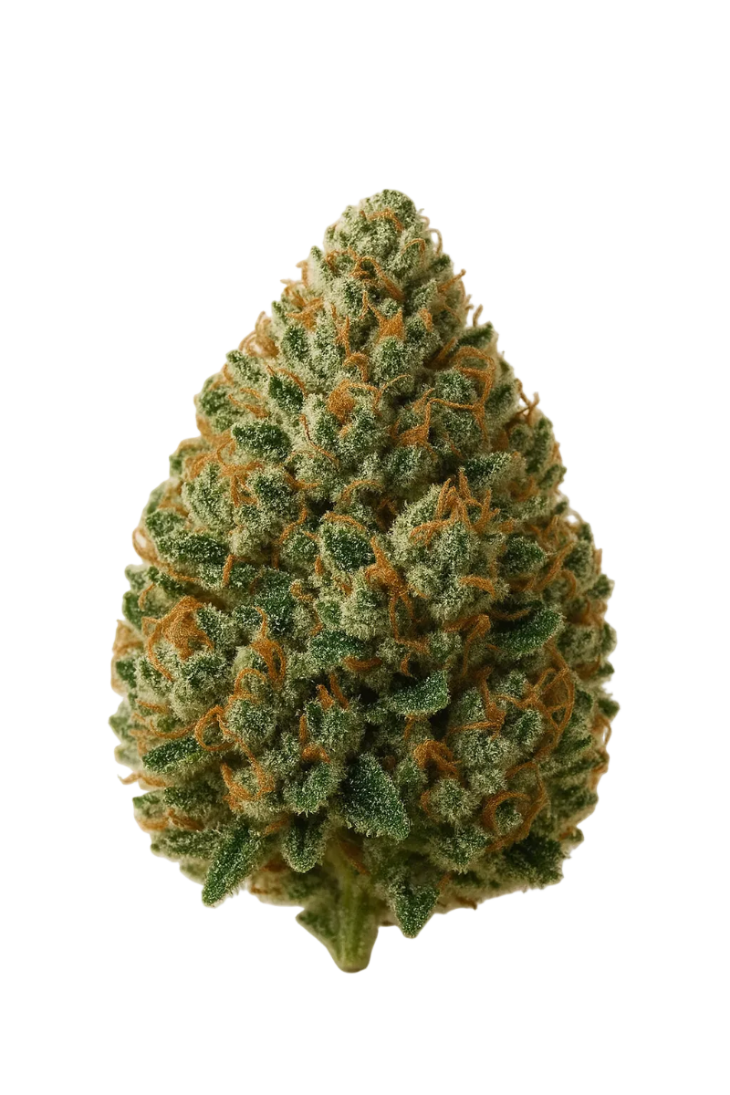Cannabis bud with 'Uncle Snoop THCa on clear background
