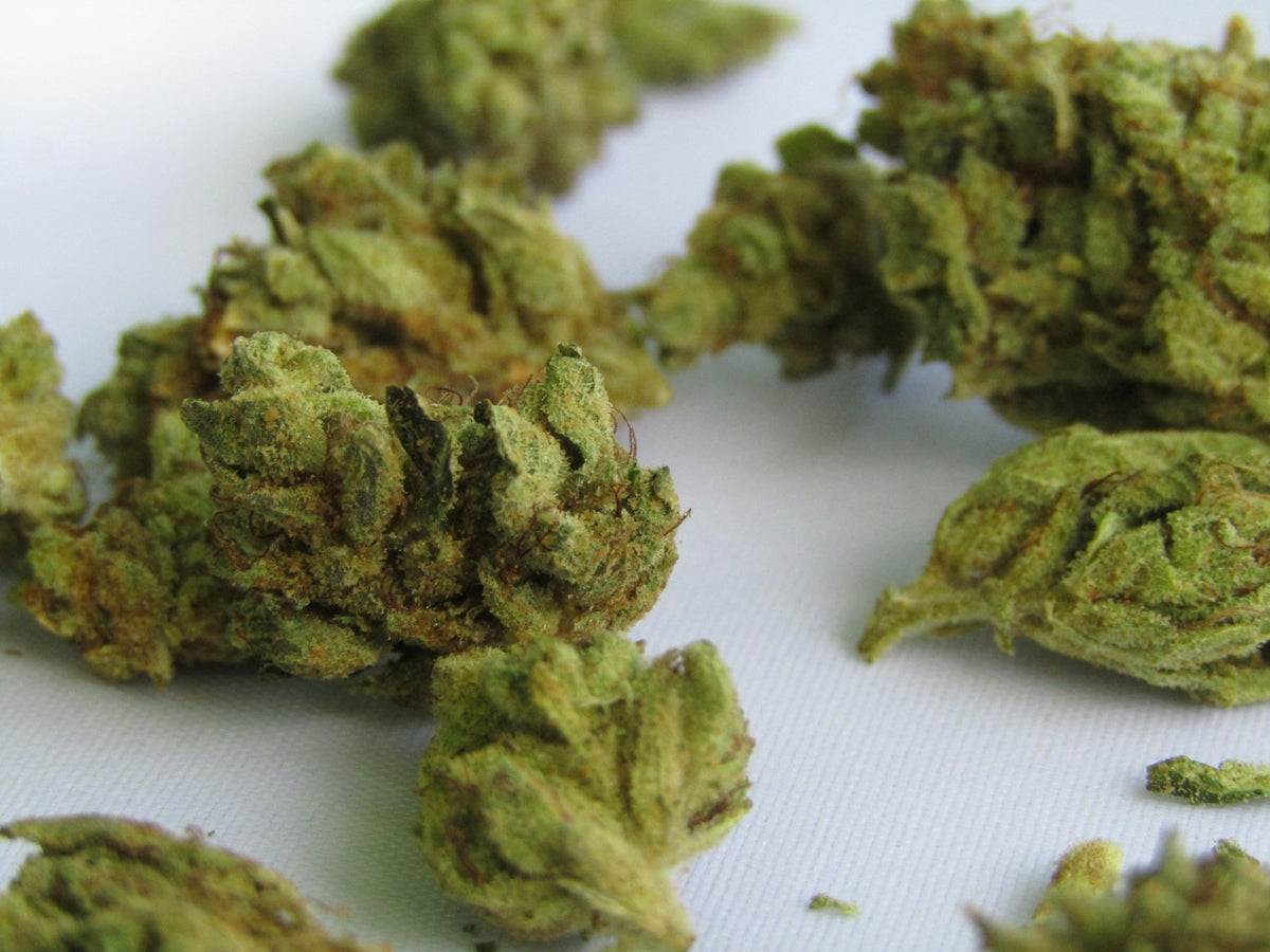 Kosher Kush THCa flower | Indica-dominant hemp flower | Golden Gardens