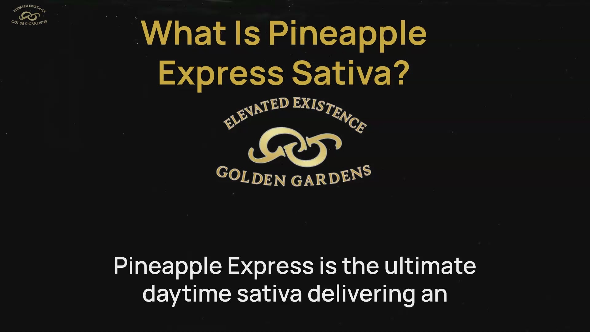 Pineapple Express Sativa-Flower-Gummies-Vapes