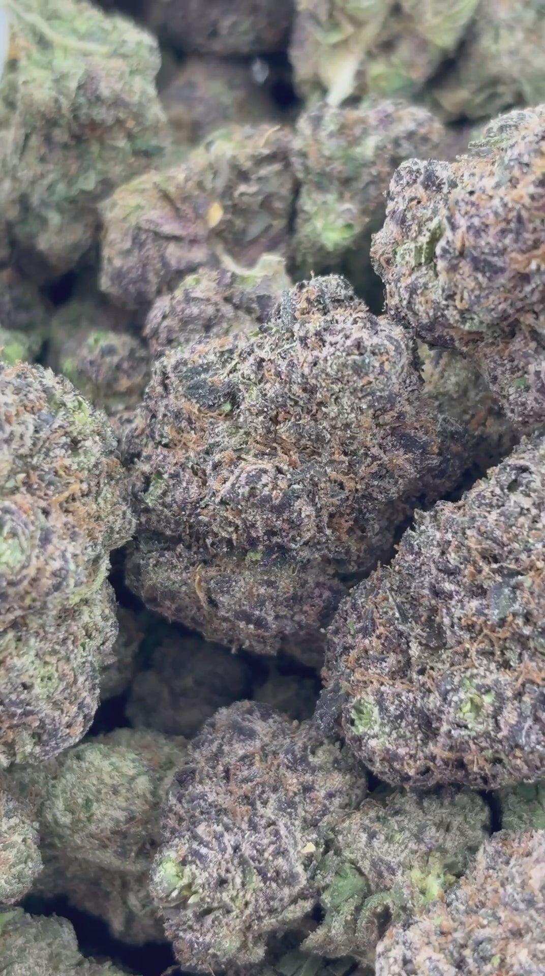 Pineapple Express THCa Flower