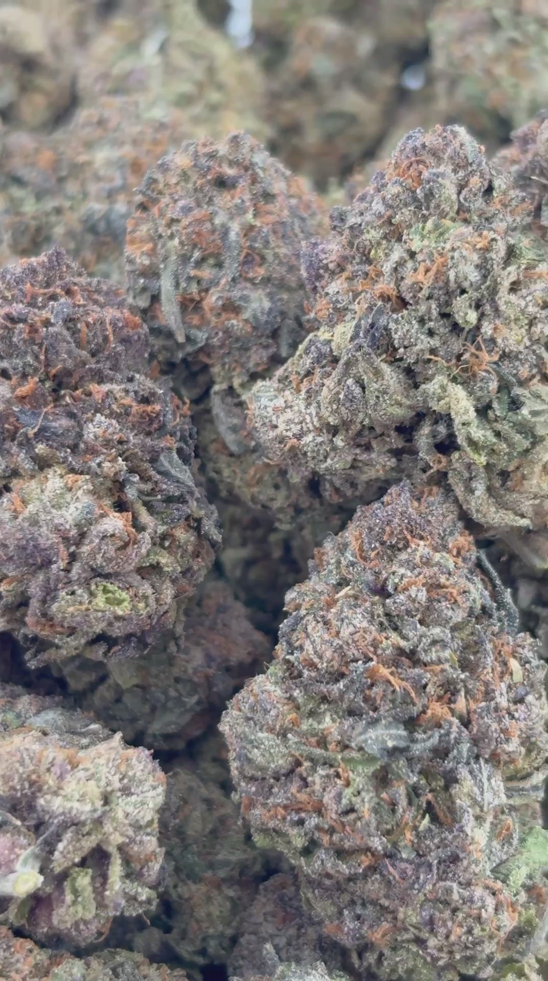 Cake Pop Indica THCa Flower