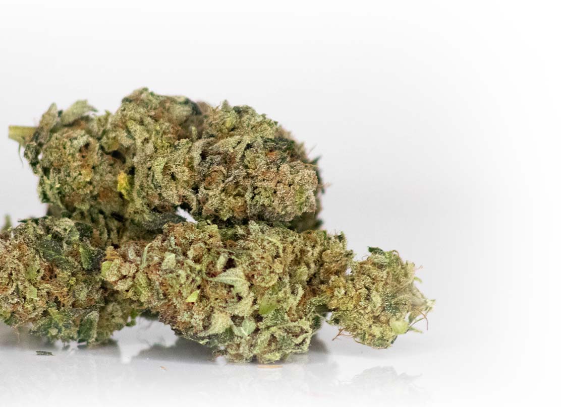 What Is the Linalool Terpene?